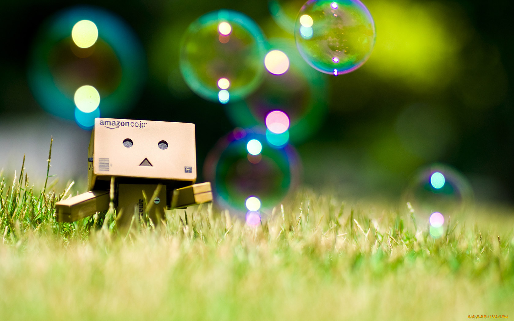 , , danboard